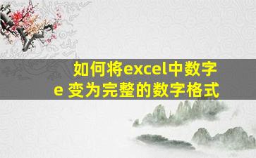 如何将excel中数字e 变为完整的数字格式